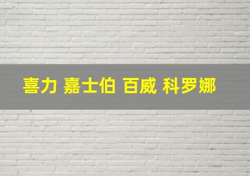 喜力 嘉士伯 百威 科罗娜